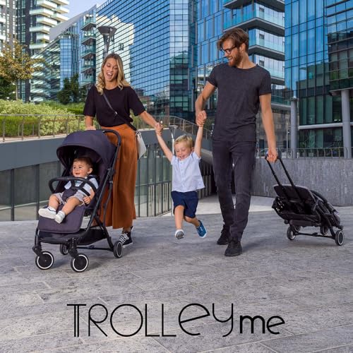 Chicco Trolley Me Passeggino Leggero da 0 Mesi a 15 kg, Passeggino Reclinabile e Pieghevole con Funzione Trolley, Chiusura Compatta, Parapioggia e Cappottina Estendibile, Stone : Amazon.it: Prima infanzia